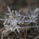 Image for article titled You'll Never Believe These Stunning Photos of Snow are Real